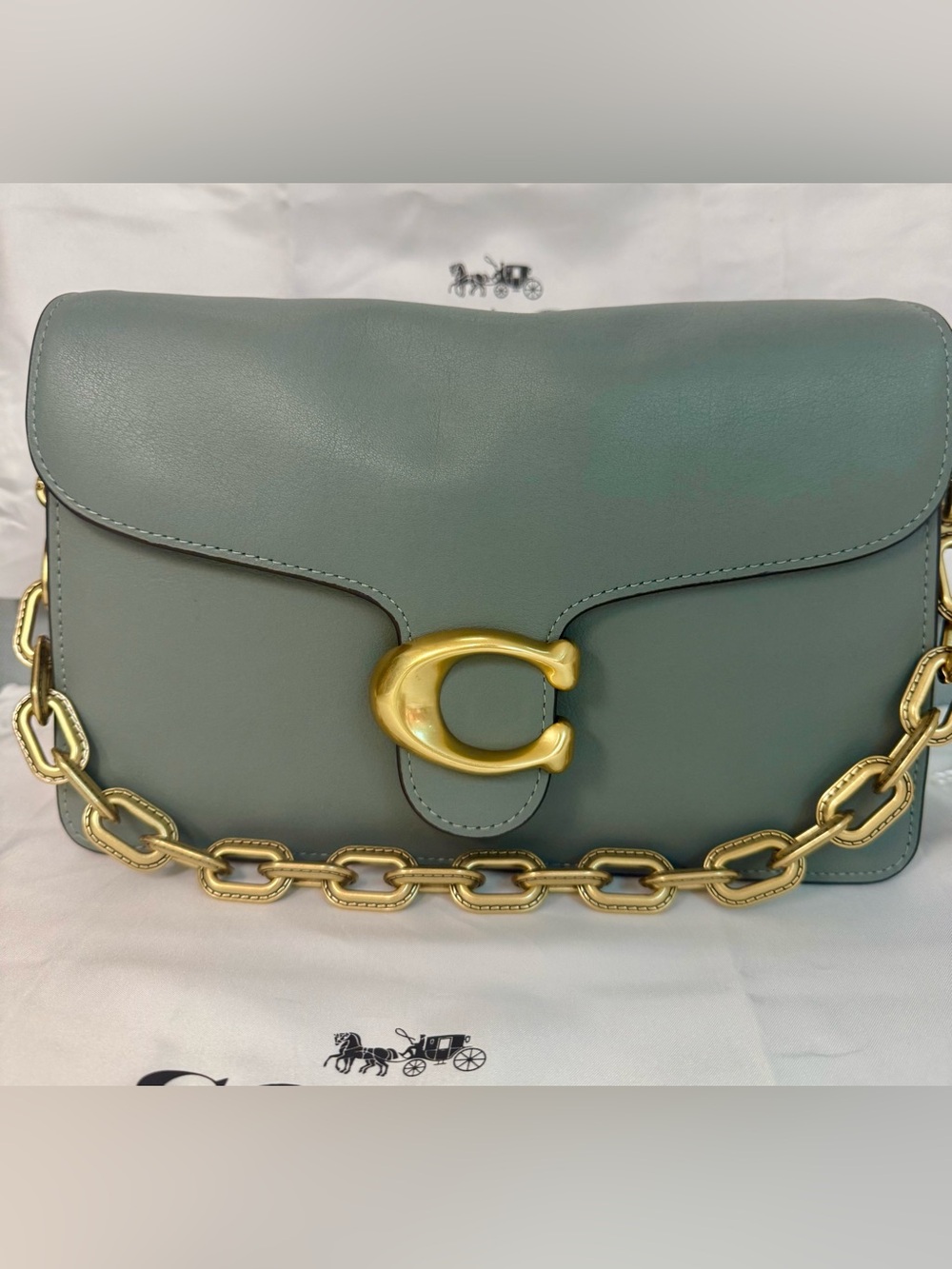 Coach Chain Tabby in Sage Green NWT